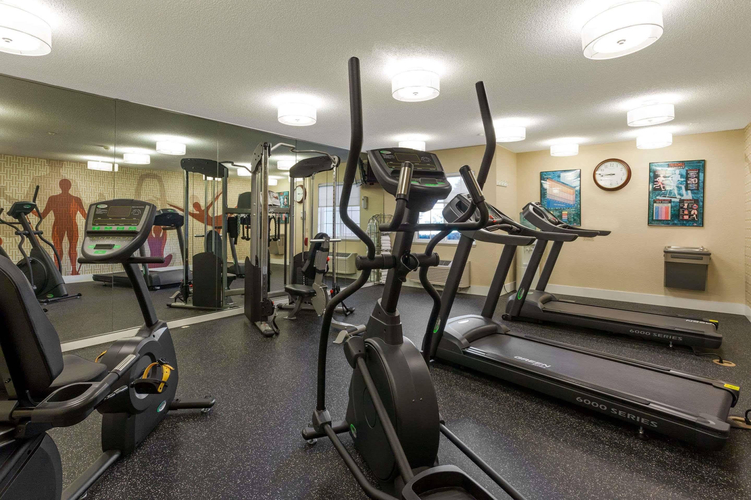 Mainstay Suites Detroit פרמינגטון הילס מראה חיצוני תמונה